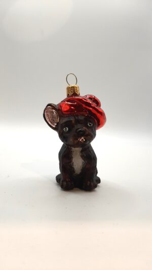 Buldog francuski w beretce